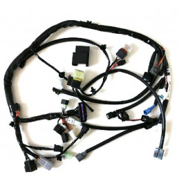 FAISCEAU ELECTRIQUE CABLE LTR 450 ORIGINE 09/12