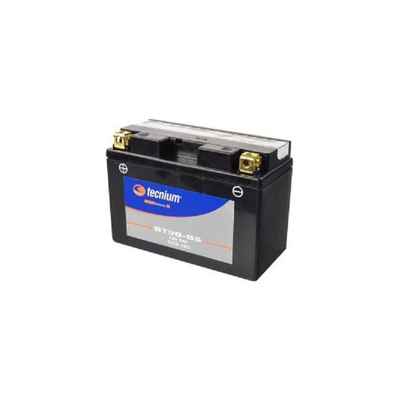 Batterie TECNIUM BT9B-4 pour 700 RAPTOR