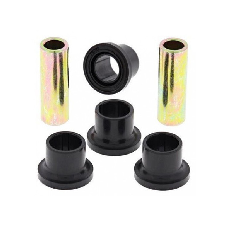 KIT DE RECONDITIONNEMENT DE TRIANGLE SUPERIEUR OU INFERIEUR DS 450 09/12