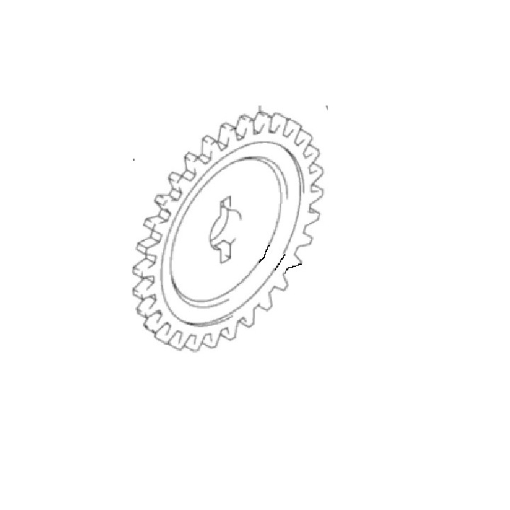 PIGNON POMPE A EAU LTZ 400 D'ORIGINE