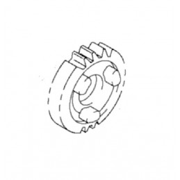 PIGNON BOITE 4 ème PRIMAIRE LTR 450 ORIGINE 08-12