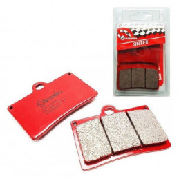 PLAQUETTES DE FREIN ARRIERE BREMBO 700 RAPTOR 2006 A 2008