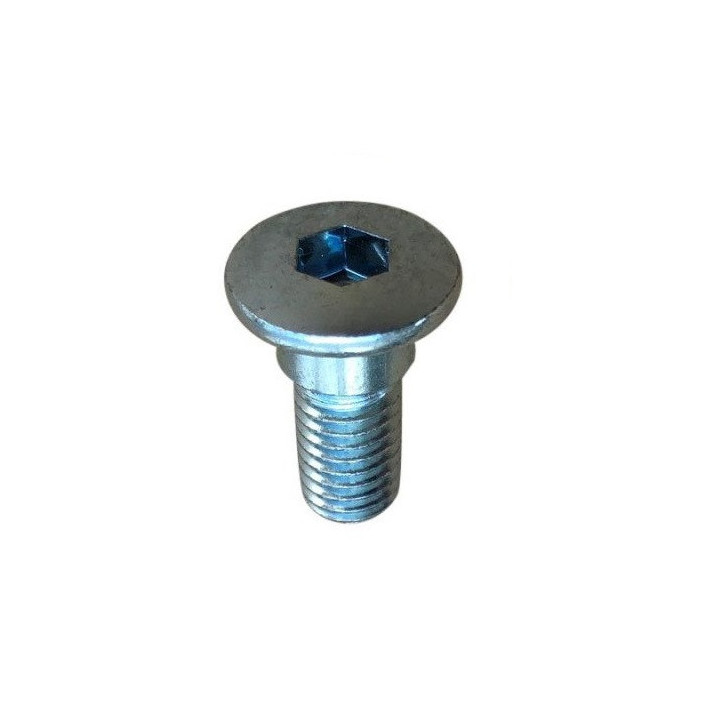 4 VIS DE SERRAGE POUR DISQUE ARRIERE DE YFZ450-R ET 700 RAPTOR