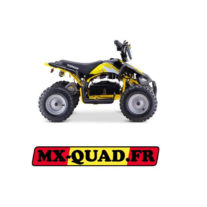 QUAD ENFANT ELECTRIQUE 800W E-REX VERT Edition 2021