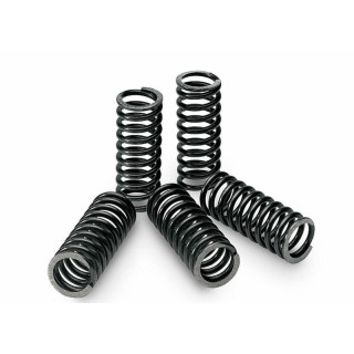 KIT RESSORTS D'EMBRAYAGE STANDARD YFZ 450 04/09 TECNIUM