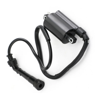 Bobine d'allumage Yamaha RAPTOR 700 2006-2019
