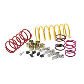 KIT RESSORTS D'EMBRAYAGE EPI CAN AM RENEGADE 1000 2012-2015