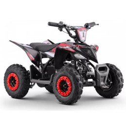 Pocket quad électrique...