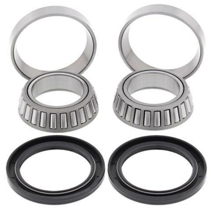 ROULEMENTS DE ROUE ARRIERE TRAIL BOSS 330 ET JOINTS