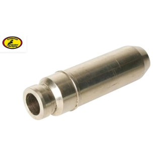 Guide soupape admission/échappement 350 Warrior | MX-Quad