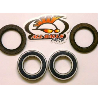 ROULEMENTS ALL BALLS D' ARBRE EXCENTRIQUE MOYEU 350 BANSHEE ET JOINTS BRAS OSCILLANT