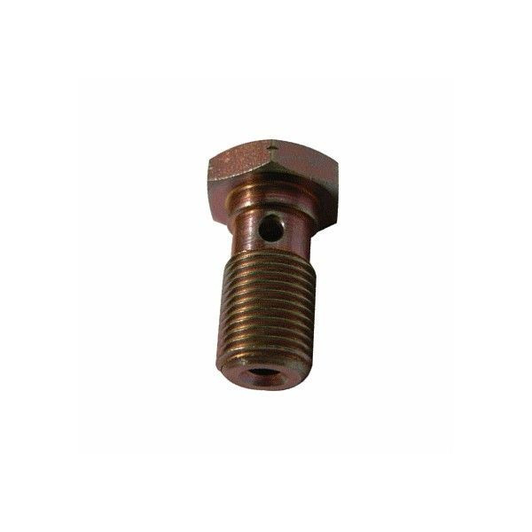 VIS MAITRE CYLINDRE DE FREIN 10X100 COURTE
