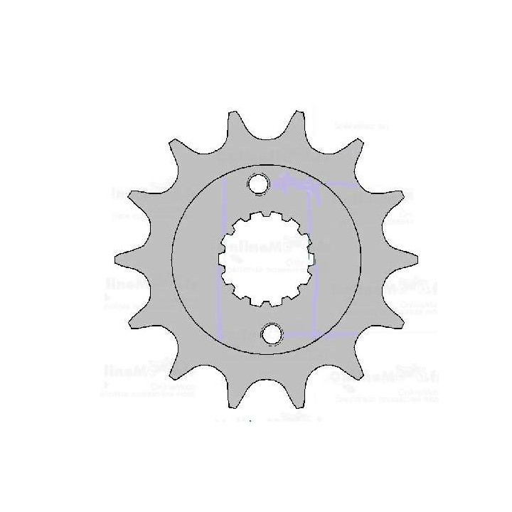 PIGNON 14 DENTS MAXXER 300  05/14