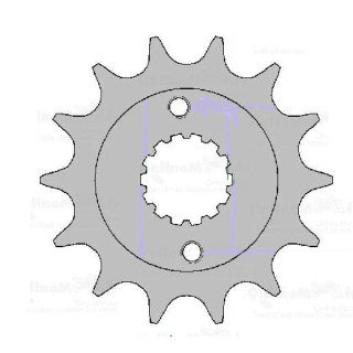 PIGNON 15 DENTS AFAM KXR 250 03/13