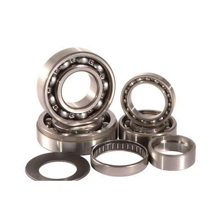 KIT ROULEMENTS DE BOITE DE VITESSE 550 GRIZZLY HOT RODS