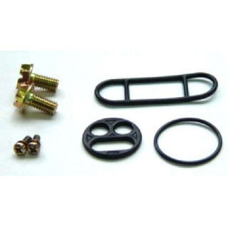 KIT JOINTS REPARATION ROBINET D'ESSENCE 450 WOLVERINE