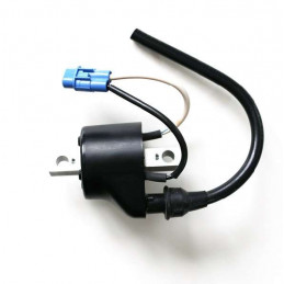 BOBINE ALLUMAGE HAUTE TENSION LTR 450 ORIGINE