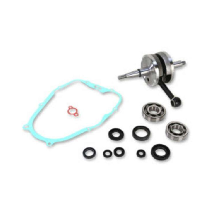 VILEBREQUIN 200 BLASTER RENFORCE WISECO ET JOINTS