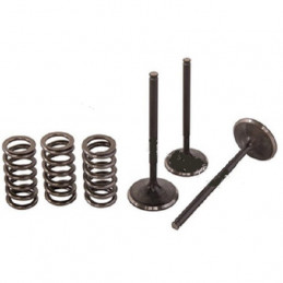 KIT DE CONVERSION SOUPAPE D 'ADMISSION TITANE ACIER YFZ 450 / YFZ 450 R