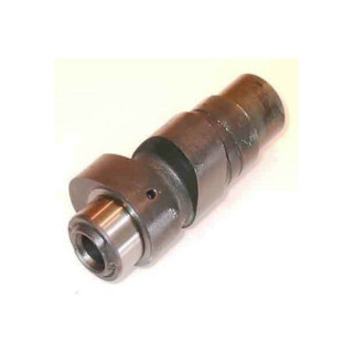 ARBRE A CAMES HOTCAMS RAPTOR 350 STAGE 2 07-14