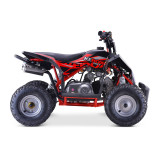 QUAD THERMIQUE 110cc
